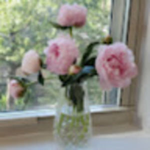 Meet your Posher, Sandy